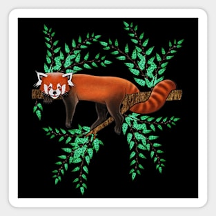 Red panda red panda lover cute red panda Magnet